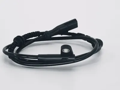 Megane 4 Talisman Arka Abs Kablosu Swag 33104804