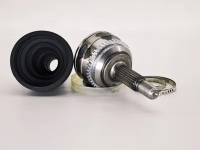 Laguna 1 Safrane Aks Kafası Formpart 22398025S