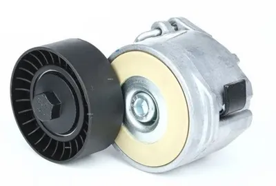 Alfa Romeo Fiat Alternatör Gergi Bilyası 1.6 MJTD - 1.9JTD - 2.0JTD Hutchinson T0284