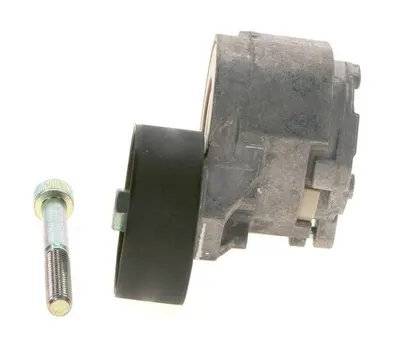 Alfa Romeo Fiat Alternatör Gergi Bilyası 1.6 MJTD - 1.9JTD - 2.0JTD Bosch 1987945839
