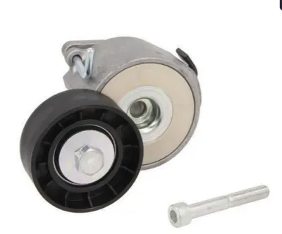 Alfa Romeo Fiat Alternatör Gergi Bilyası 1.6 MJTD - 1.9JTD - 2.0JTD Dayco APV1088
