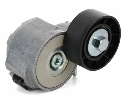 Alfa Romeo Fiat Alternatör Gergi Bilyası 1.6 MJTD - 1.9JTD - 2.0JTD Dayco APV1156
