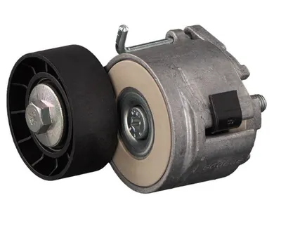 Alfa Romeo Fiat Alternatör Gergi Bilyası 1.6 MJTD - 1.9JTD - 2.0JTD Febi 30733