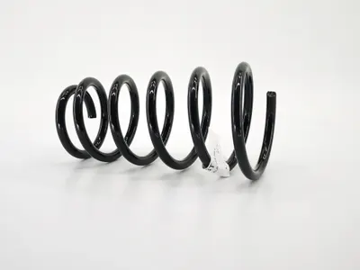 Albea Arka Helezon Yayı Standart Yay 109070R