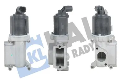 EGR VALFI VECTRA C Z19DTH ASTRA H Z19DTJ ZAFIRA B