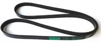 KANALLI KAYIS OPEL ASTRA F 1.4/1.6 8V (91-98) VECTRA A 1.6 8V (88-95) FIAT TEMPRA TIPO 1.9D 8V ALFA 