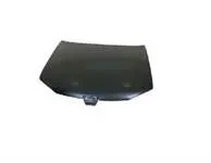MOTOR KAPUTU ( TAİWAN ) 306 1997-