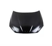 MOTOR KAPUTU (TYG) E84 X1 2009-