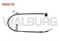EL FREN TELI ARKA SAG DISKLI HYUNDAI I10 (PA) 1.1 CRDI 2008-2013