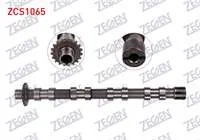 EKSANTRIK MILI EMME 2.0 HDI (DW10BTED4) PEUGEOT 307 00-07 / 308 07-13 / 407 04-11 / EXPERT 09-16 / CITROEN C5 III 04-08 / JUMPY 10-16/ C4 I 04-09/ FAIT SCUDO 08-/ FORD KUGA I 08-13/ MONDEO IV 07-14
