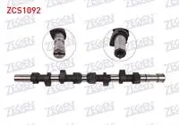 EKSANTRIK MILI RENAULT MEGANE I 1.9 D (F8Q) 1996-2003  KANGOO 1.9 D (F8Q) 1998-2008