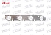 EGZOZ MANIFOLD CONTASI TRANSIT V184 / V347 2.4 TDCI / V363 2.2 TDCI / BOXER / JUMPER 2.2 HDI