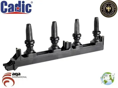 ATEŞLEME BOBİNİ PEUGEOT 307 308 407 2.0 16V 2005 > CITROEN C4 C5 (10)