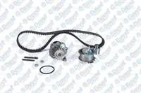EKSANTRIK KITI DEVIRDAIMLI (1143x120x30) T5 CADDY III JETTA GOLF V 1.9TDI AVB-AVF AWX-AXB B  