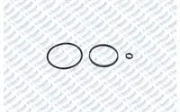 YAG FILTRE (ORING) CONTA SETI P307 P206 PARTNER II BERLINGO II C3 C4 TU5JP4 (1,6 16V) P301 C ELYSEE P208 13> P308 II 14> EC5 / EC5F (1,6 VTI 16V EURO5)