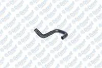 YAG SOGUTUCU HORTUMU CONNECT 1.8TDCI 02>06 FOCUS 1.8TDCI 98>05  
