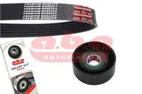 ALTERNATOR GERGI RULMANI + KAYIS (25109146)+(6pk975)