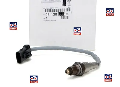 OKSİJEN SONDASI 9813838380 RIFTER P208 C3