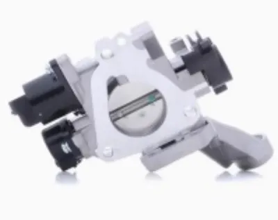 GAZ KELEBEĞİ RNBK009 CLIO TWİNGO 1.2 8V D7F