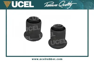 Master 1 2 Salıncak Burcu Üçel