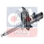 AMORTISOR ON  SAG FOCUS 05 -