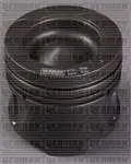 PISTON+SGM (ADET) STD CLIO.III-MGN.II-KNG-LGN.III-SCN 1.5dci 105hp EURO4 [A.G.Z]