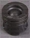 PISTON+SGM (ADET) 051 MGN.III-SCN 1.5 *K9K* *76* (0,20mm KISA)