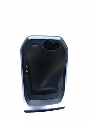 CLİO V VİTES KÖRÜĞÜ KROM OTOMATİK