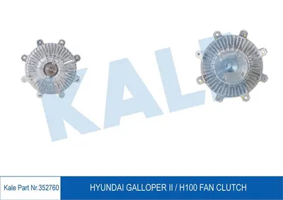 FAN TERMIGI