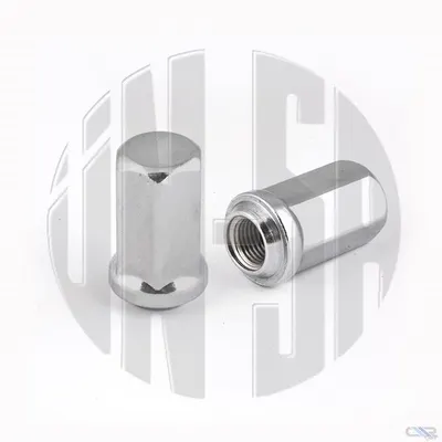 BIJON SOMUNU EXTRA R12